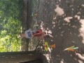 IMG_20230916_144157