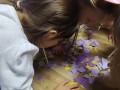 IMG_20231121_133457