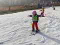 IMG_20240306_095326