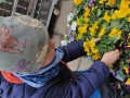 IMG_20240312_104652