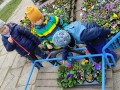 IMG_20240312_104828