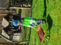 IMG_20240318_104931