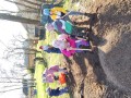 IMG_20240318_105131