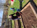IMG_20240318_105426