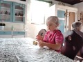 IMG-20240325-WA0012