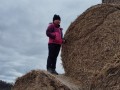 IMG-20240325-WA0020