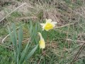 IMG-20240325-WA0021