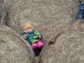 IMG-20240325-WA0022
