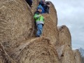 IMG-20240325-WA0030