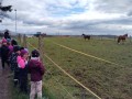 IMG-20240325-WA0033