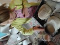 IMG_20240325_114039