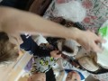 IMG_20240325_114217