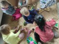 IMG_20240325_114538