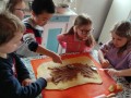 IMG_20240325_131358