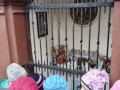 IMG-20240315-WA0008
