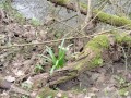 IMG-20240315-WA0010