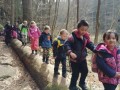 IMG-20240315-WA0014
