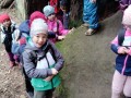 IMG-20240315-WA0018