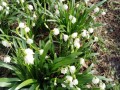 IMG-20240315-WA0022