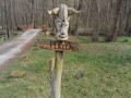 IMG-20240315-WA0024
