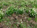 IMG_20240310_141910