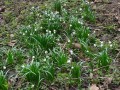 IMG_20240310_143145