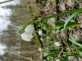 IMG_20240310_143915