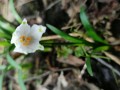 IMG_20240310_144005