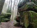 IMG_20240310_144414