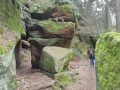 IMG_20240310_144441
