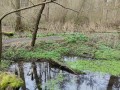 IMG_20240310_144612