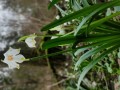 IMG_20240310_144712