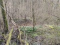IMG_20240310_145003
