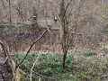 IMG_20240310_145014