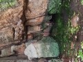 IMG_20240310_145039