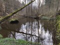 IMG_20240310_145222