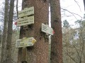 IMG_20240310_145343