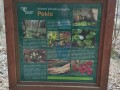IMG_20240310_145622