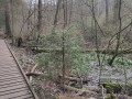 IMG_20240310_150730