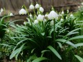 IMG_20240310_152018