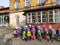 IMG_20240315_084234