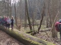 IMG_20240315_113901