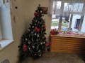 IMG_20231213_105847
