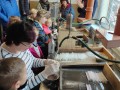 IMG_20231213_111702