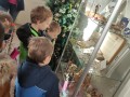 IMG_20231213_113947