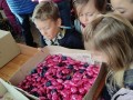 IMG_20231213_113950