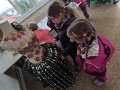 IMG_20231213_114019