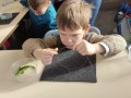 IMG_20231213_115851