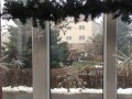 IMG_20231213_122254