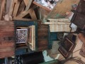 IMG_20231213_134000